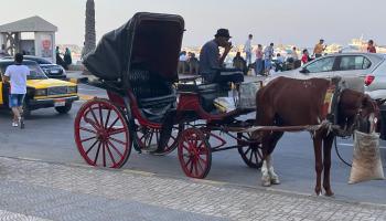 عربة حنطور في مصر - أرشيفية