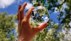7 تطبيقات صديقة للبيئة تساعدك على إنقاذ الكوكب 
