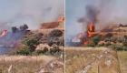 Antakya'da korkutan yangın: Zeytinlik ve ormanlık alanlar kısa sürede alevlerle kaplandı