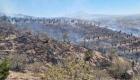Aksaray'daki ot yangınında 5 bin fidan kül oldu