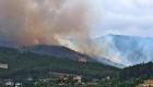 Türkiye'nin iki farklı bölgesinde orman yangınları kontrol altına alınmaya çalışılıyor