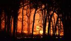 سؤال القرن.. كيف يتنبأ العلماء بحرائق الغابات؟