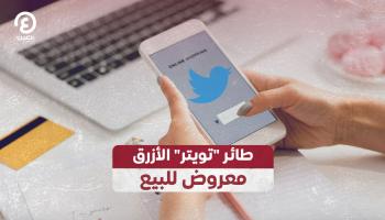 طائر 