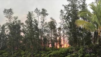 Etats-Unis : le bilan des feux de forêt à Hawaï s'alourdit à 89 morts
