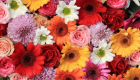 MYK tarafından çiçekçi mesleğinin Ulusal Meslek Standardı hazırlandı
