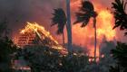 جحيم هاواي.. ارتفاع عدد قتلى حرائق الغابات إلى 110
