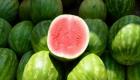 لماذا يُقلق البطيخ المغاربة؟ (فيديو)