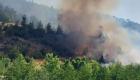 Kahramanmaraş'ta alarm: Andırın ilçesinde orman yangını