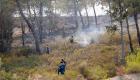 Dedeağaç'ta orman yangını | OHAL ilan edildi