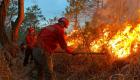 İklim değişikliği Türkiye'nin kuzey bölgelerinde orman yangını riski artırıyor!