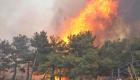 Çanakkale'deki orman yangını için devlet ve millet seferber oldu!