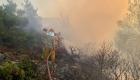 Çanakkale’deki orman yangını kontrol altına alındı 
