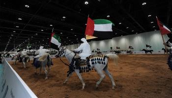 معرض أبوظبي للصيد والفروسية