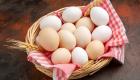 قیمت تخم‌مرغ در ایران از دانه‌ای ۵۰۰۰ تومان عبور کرد