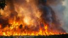 Bu yıl Avrupa'da yaşanan orman yangınları, 4 milyar dolarlık ekonomik zarara neden oldu