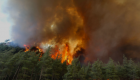 Muğla’da tek bir günde 36 orman yangını