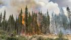 Kanada’da 800 yangın halen kontrol altına alınabilmiş değil 