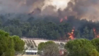 İzmir ve Osmaniye'de orman yangını