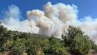 Antalya ve Manisa’da orman yangını çıktı, biri kontrol altına alındı 