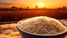 ظواهر مناخية تهدد طبق رئيسي على مائدة العالم.. الأرز يتداعى