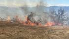 Türkiye'de üç farklı ilde orman yangını alarmı
