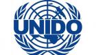 UNIDO, gelişmekte olan ekonomilere yardım eli uzatıyor