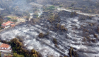 İtalya'da orman yangını: 2 kişi yaşamını yitirdi