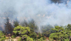  Antalya Kaş’ta ormanlık alanda yangın
