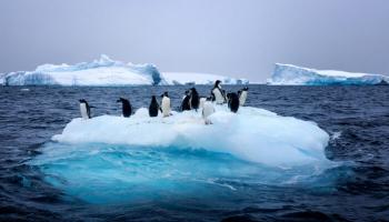 Climat : la banquise de l'Antarctique atteint un record de fonte