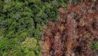 Amazon yağmur ormanlarında kuraklık! 500 bin kişi risk altında