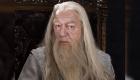 Harry Potter'ın Dumbledore'u Michael Gambon kimdir?