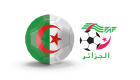 Top 10 des footballeurs internationaux algériens 