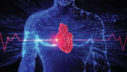 هوش مصنوعی می‌تواند بیماری‌های قلبی را تشخیص دهد