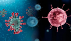 کشنده‌تر از کرونا: ویروس جدید چینی ۱۰۰ درصد باعث مرگ می‌شود