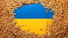 حبوب أوكرانيا.. سلة غذاء عالمية تبحث عن مسار آمن غير البحر الأحمر   