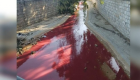 آخرالزمان در انگلیس: رنگ رودخانه‌ای در بیرمنگام «سرخ» شد