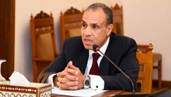 بدر عبدالعاطي وزير الخارجية المصري