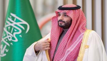 الأمير محمد بن سلمان ولي العهد السعودى