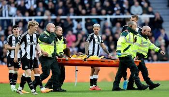 داني ويلبيك لاعب برايتون ضد نيوكاسل