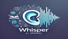 تطبيق Whisper مصاب بالهلوسة.. تحذيرات من أدوات النسخ المدعومة بالذكاء الاصطناعي