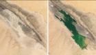 Images rares, un lac vert géant dans le Sahara algérien capturé par la Nasa