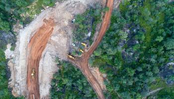 تجريف الغابات