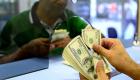Dolar ve euro kaç TL? 11 Kasım güncel döviz kurları 