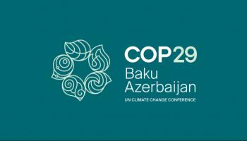 مؤتمر الأطراف COP29