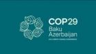 فرش‌های سازگار با محیط زیست؛ یکی از شگفتی‌های صنعت در کنفرانس آب و هوا COP29