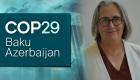 في مؤتمر COP29.. دراسة تطوير الجمارك الخضراء لتسهيل التجارة المستدامة