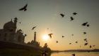 Inde: enquête sur un pigeon voyageur soupçonné d'être un «espion chinois»
