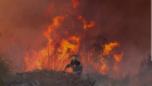 Şili'de orman yangınlarında 19 kişi can verdi