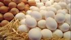 أسعار البيض في مصر .. هل وصل سعر البيضة إلى 8 جنيهات؟ 
