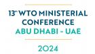 الإمارات تطلق موقعا إلكترونيا للمؤتمر الوزاري الـ13 لمنظمة التجارة العالمية